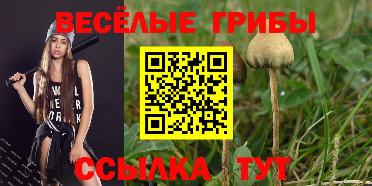 Псилоцибиновые грибы Cubensis Отрадное
