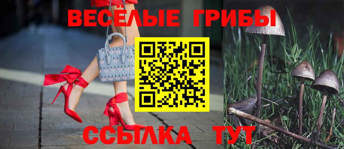 Псилоцибиновые грибы ЛСД  Вход с VPN  Отрадное 